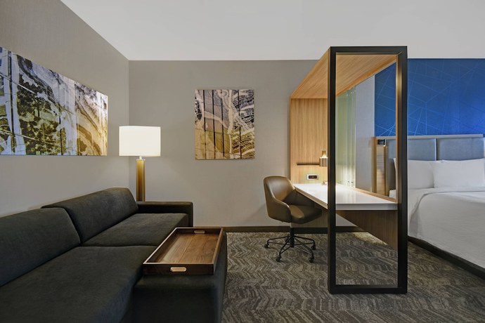 Imagen de la habitación del Hotel SpringHill Suites by Marriott St. Paul Arden Hills. Foto 14