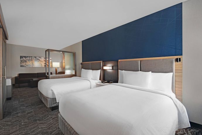 Imagen de la habitación del Hotel SpringHill Suites by Marriott St. Paul Arden Hills. Foto 15