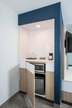 Imagen de la habitación del Hotel SpringHill Suites by Marriott St. Paul Downtown. Foto 6