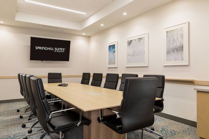 Imagen de los interiores del Hotel SpringHill Suites by Marriott St. Paul Downtown. Foto 17