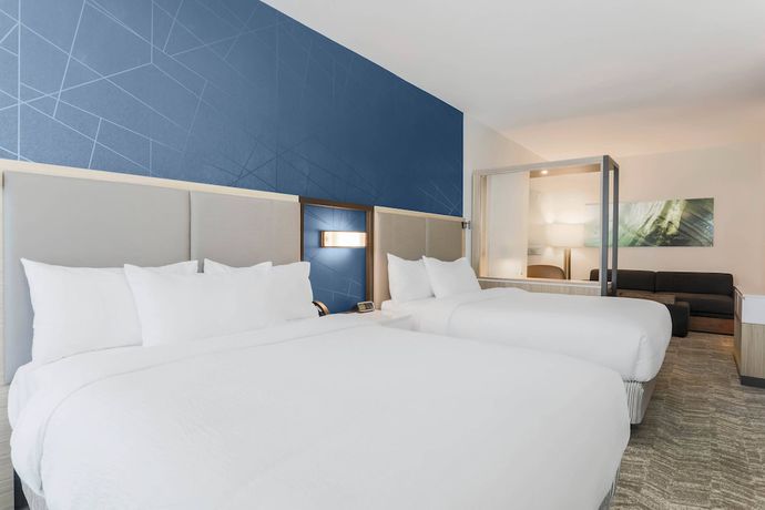 Imagen de la habitación del Hotel SpringHill Suites by Marriott Tallahassee North. Foto 3