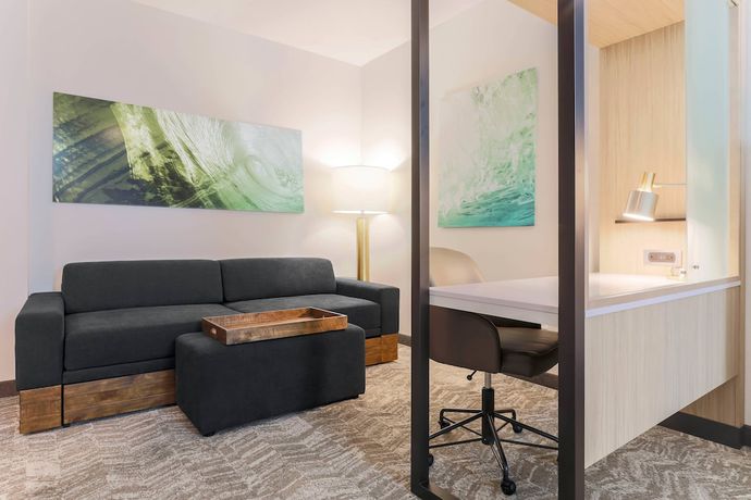 Imagen de la habitación del Hotel SpringHill Suites by Marriott Tallahassee North. Foto 14