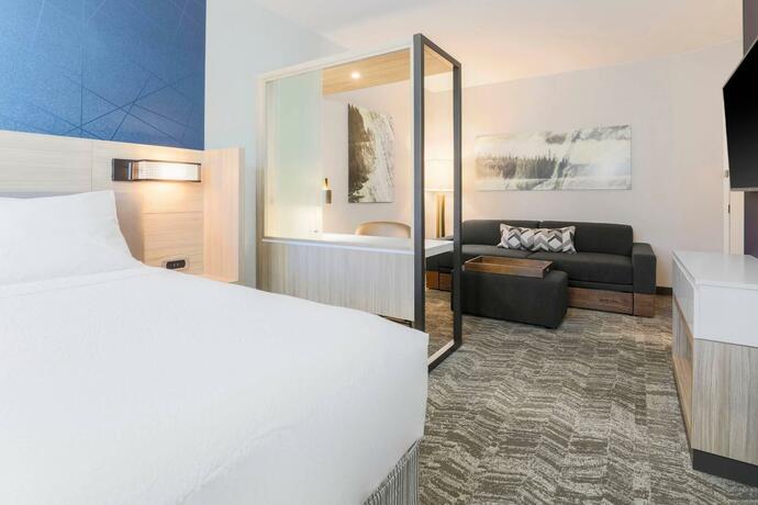 Imagen general del Hotel SpringHill Suites by Marriott Truckee. Foto 9