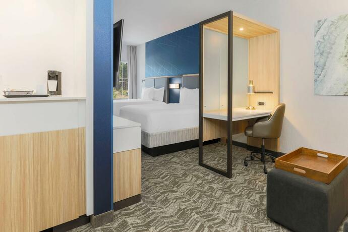 Imagen general del Hotel SpringHill Suites by Marriott Truckee. Foto 10