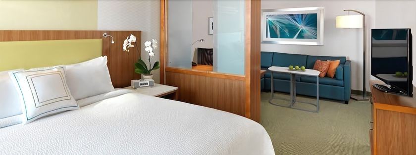 Imagen de la habitación del Hotel SpringHill Suites by Marriott Voorhees Mt. Laurel/Cherry Hill. Foto 14