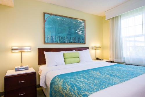 Imagen de la habitación del Hotel SpringHill Suites by Marriott Williamsburg. Foto 7