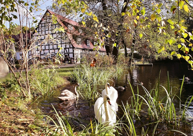Imagen general del Hotel Springbach-Mühle Belzig. Foto 1