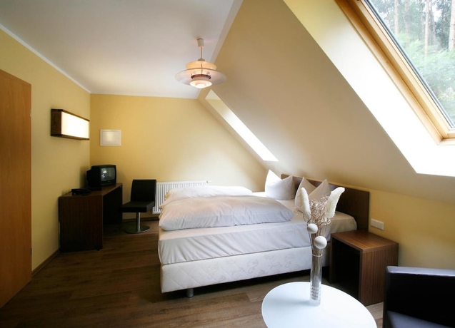 Imagen de la habitación del Hotel Springbach-M&uuml;hle Belzig. Foto 12