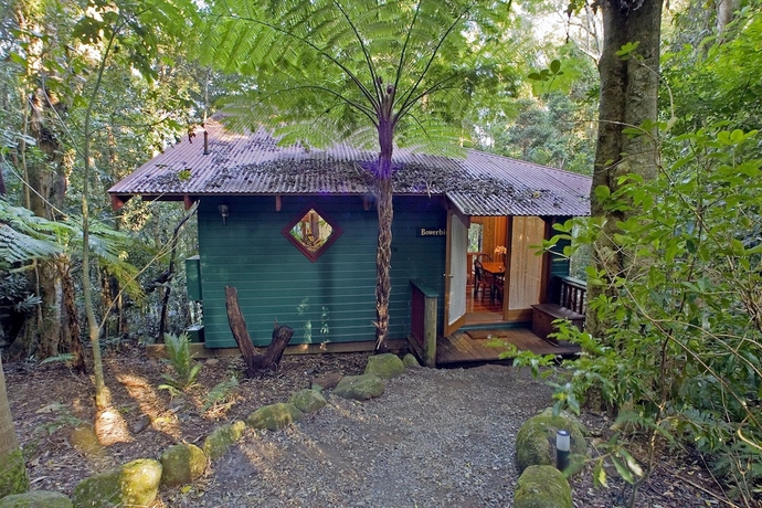 Imagen de los exteriores del Hotel Springbrook Lyrebird Retreat. Foto 19