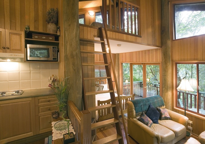 Imagen de la habitación del Hotel Springbrook Lyrebird Retreat. Foto 10