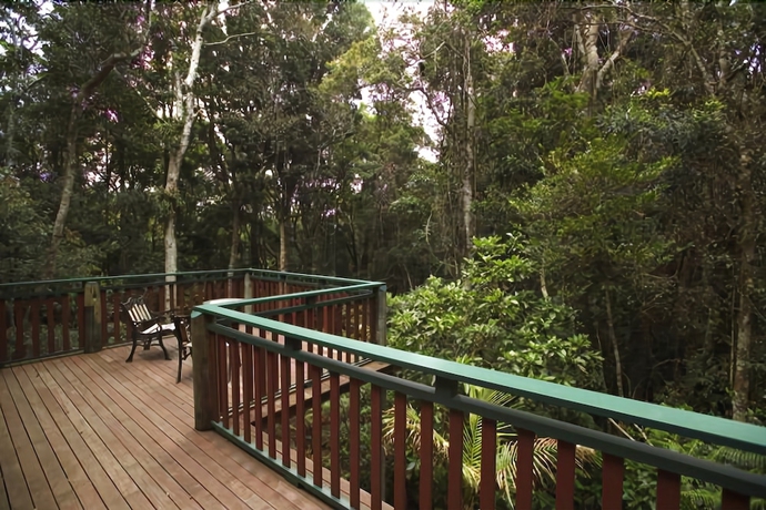 Imagen de la habitación del Hotel Springbrook Lyrebird Retreat. Foto 13