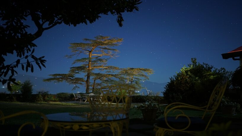 Imagen general del Hotel Springfields, Shimla. Foto 4