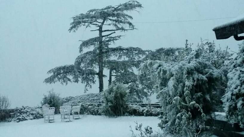 Imagen general del Hotel Springfields, Shimla. Foto 9