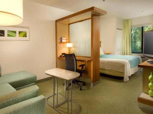 Imagen de la habitación del Hotel Springhill Suites Alexandria. Foto 9