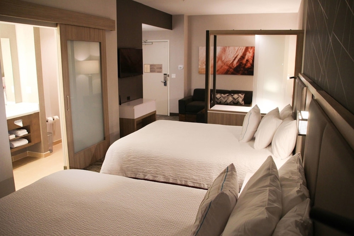 Imagen de la habitación del Hotel Springhill Suites Baltimore White Marsh/middle River. Foto 8