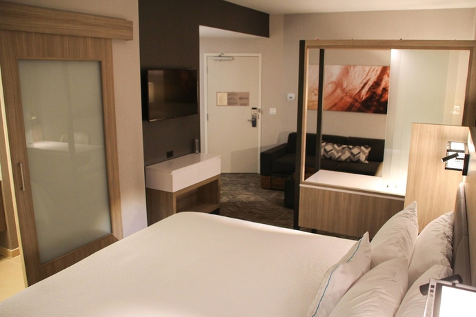 Imagen de la habitación del Hotel Springhill Suites Baltimore White Marsh/middle River. Foto 11