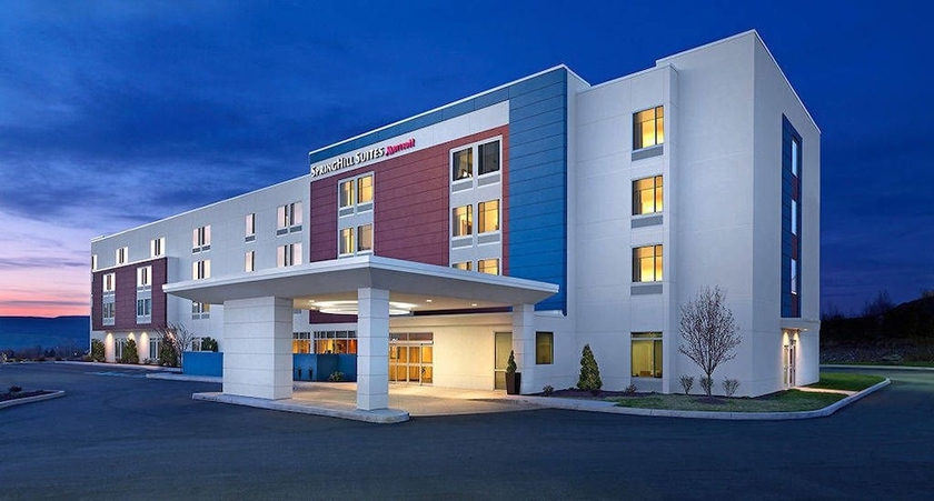 Imagen general del Hotel Springhill Suites Baltimore White Marsh/middle River. Foto 2