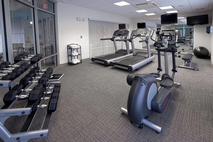 Imagen de los interiores del Hotel Springhill Suites By Marriott Albany-colonie. Foto 16