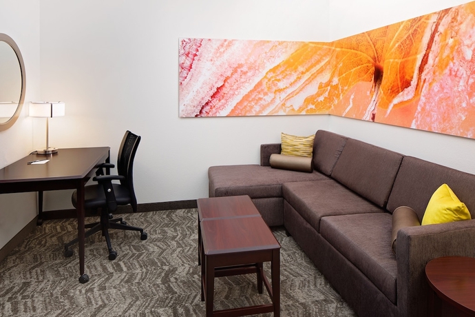 Imagen de la habitación del Hotel Springhill Suites By Marriott Ardmore. Foto 19