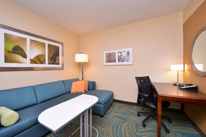 Imagen de la habitación del Hotel Springhill Suites By Marriott Arundel Mills Bwi Airport. Foto 5