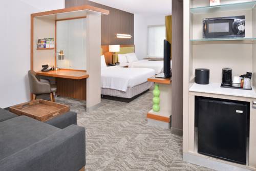 Imagen de la habitación del Hotel Springhill Suites By Marriott Ashburn Dulles North. Foto 3