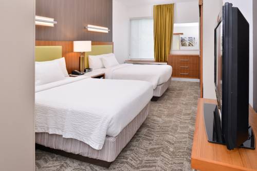 Imagen de la habitación del Hotel Springhill Suites By Marriott Ashburn Dulles North. Foto 4