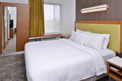 Imagen de la habitación del Hotel Springhill Suites By Marriott Ashburn Dulles North. Foto 5