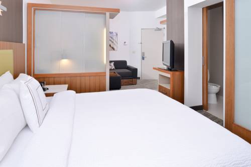Imagen de la habitación del Hotel Springhill Suites By Marriott Ashburn Dulles North. Foto 6