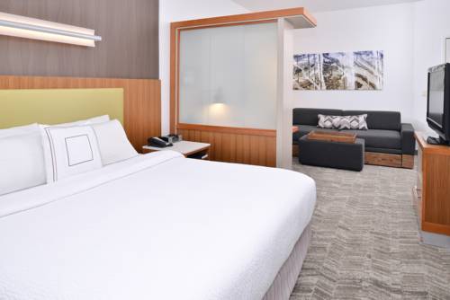 Imagen de la habitación del Hotel Springhill Suites By Marriott Ashburn Dulles North. Foto 7