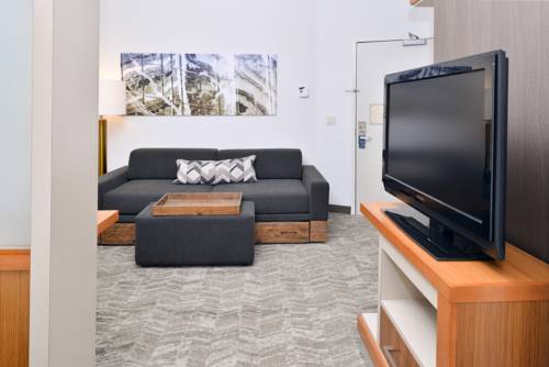 Imagen general del Hotel Springhill Suites By Marriott Ashburn Dulles North. Foto 1