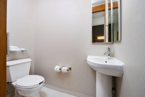 Imagen de la habitación del Hotel Springhill Suites By Marriott Ashburn Dulles North. Foto 10