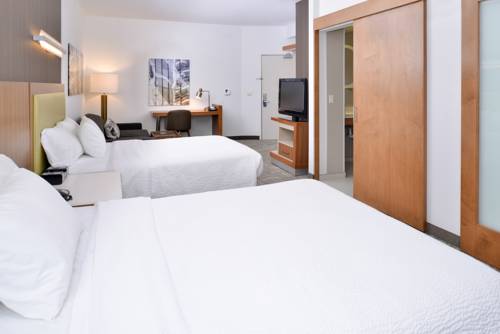 Imagen de la habitación del Hotel Springhill Suites By Marriott Ashburn Dulles North. Foto 11