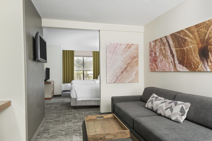 Imagen de la habitación del Hotel Springhill Suites By Marriott Asheville. Foto 9