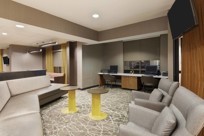 Imagen de los interiores del Hotel Springhill Suites By Marriott Asheville. Foto 18