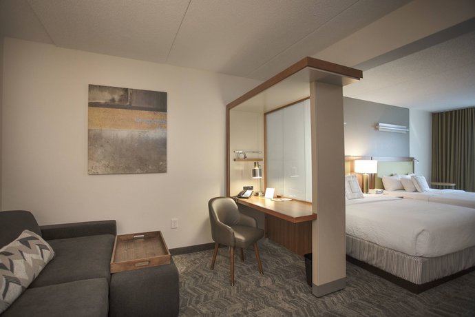 Imagen de la habitación del Hotel Springhill Suites By Marriott Athens West. Foto 3