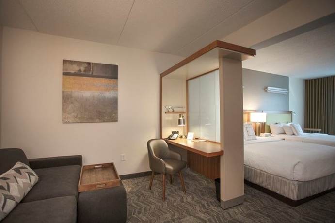 Imagen de la habitación del Hotel Springhill Suites By Marriott Athens West. Foto 5