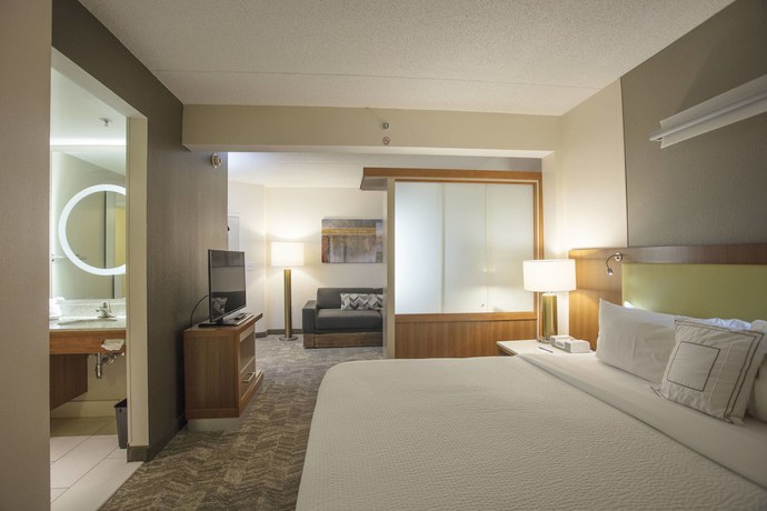 Imagen de la habitación del Hotel Springhill Suites By Marriott Athens West. Foto 6
