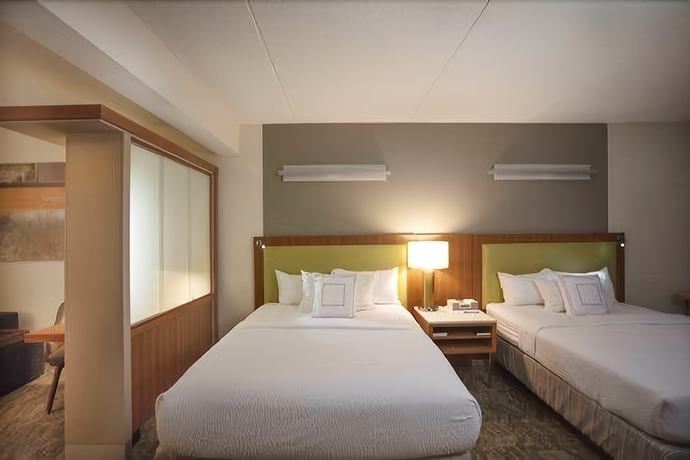 Imagen de la habitación del Hotel Springhill Suites By Marriott Athens West. Foto 7