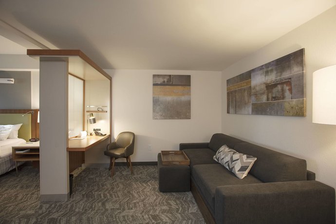 Imagen de la habitación del Hotel Springhill Suites By Marriott Athens West. Foto 9