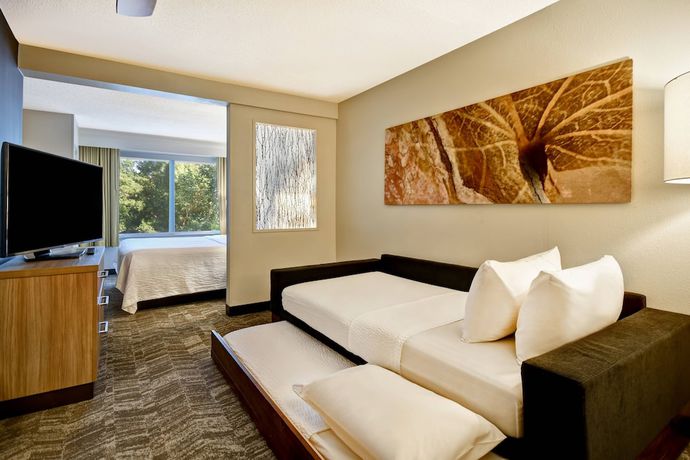 Imagen de la habitación del Hotel Springhill Suites By Marriott Atlanta Kennesaw. Foto 9