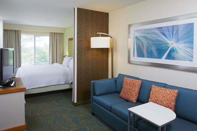 Imagen de la habitación del Hotel Springhill Suites By Marriott Atlanta Six Flags. Foto 12