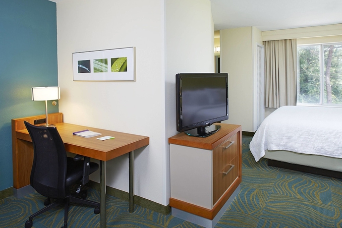 Imagen de la habitación del Hotel Springhill Suites By Marriott Atlanta Six Flags. Foto 13