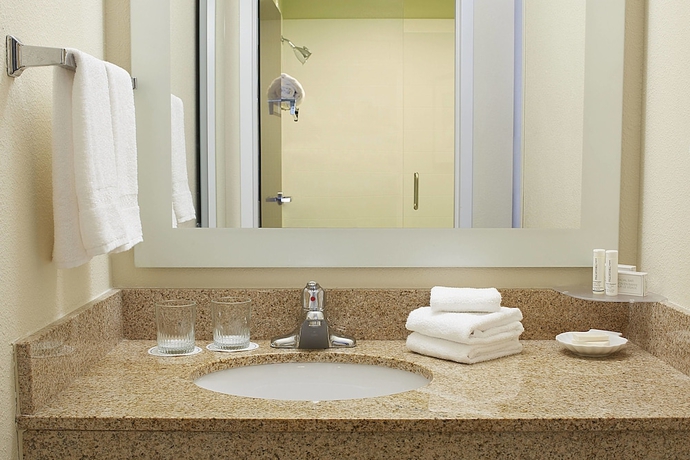 Imagen de la habitación del Hotel Springhill Suites By Marriott Atlanta Six Flags. Foto 15