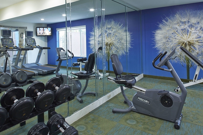 Imagen de los interiores del Hotel Springhill Suites By Marriott Atlanta Six Flags. Foto 18