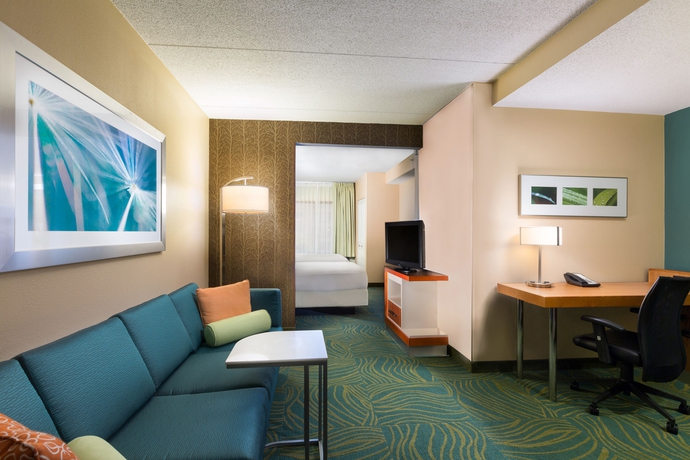 Imagen de los interiores del Hotel Springhill Suites By Marriott Austin South. Foto 10