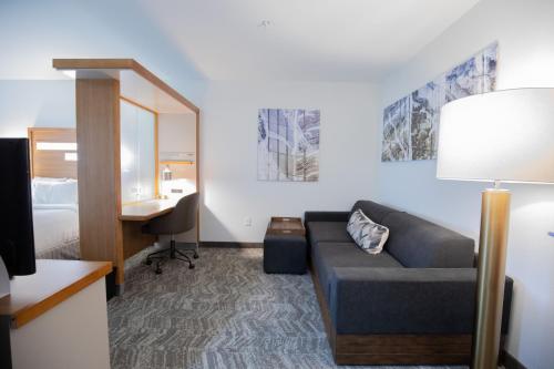 Imagen de la habitación del Hotel Springhill Suites By Marriott Baton Rouge Gonzales. Foto 18