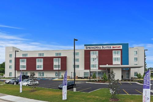 Imagen general del Hotel Springhill Suites By Marriott Baton Rouge Gonzales. Foto 17