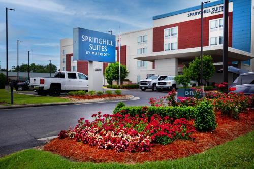 Imagen general del Hotel Springhill Suites By Marriott Baton Rouge Gonzales. Foto 1