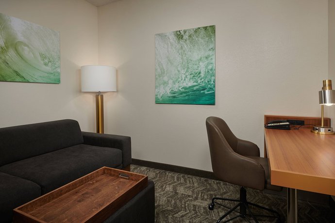 Imagen de la habitación del Hotel Springhill Suites By Marriott Baton Rouge North/airport. Foto 8