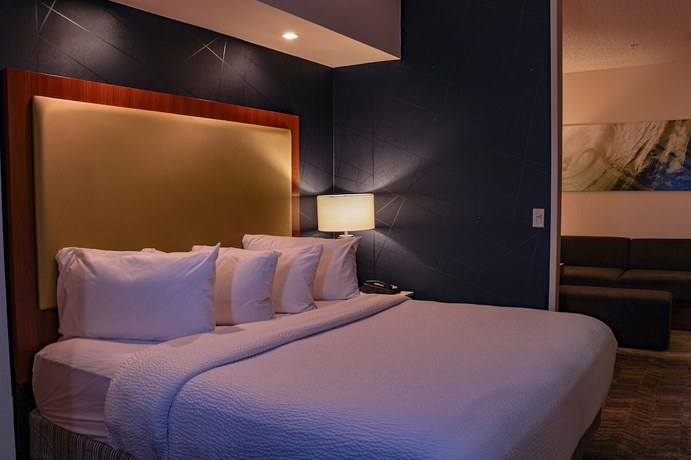 Imagen de la habitación del Hotel Springhill Suites By Marriott Baton Rouge North/airport. Foto 9